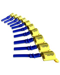 10 Ignition Coils for 1997-2009 E150 E250 Van F150 F250 Truck Excursion 6.8L V10