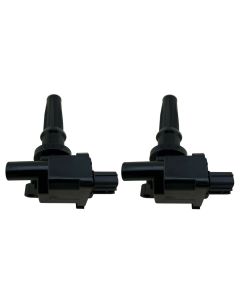 2 Ignition Coil Packs for 1999-2006 Santa Fe Sonata Magentis Optima 2.4L 2.4 I4