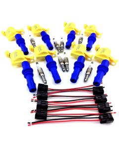 04-08 IGNITION COILS FORD F-150 F150 & 8 SPARK PLUGS & CONNECTOR CLIPS SET 5.4L